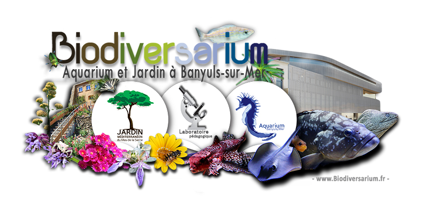 Visuel Biodiversarium 2017