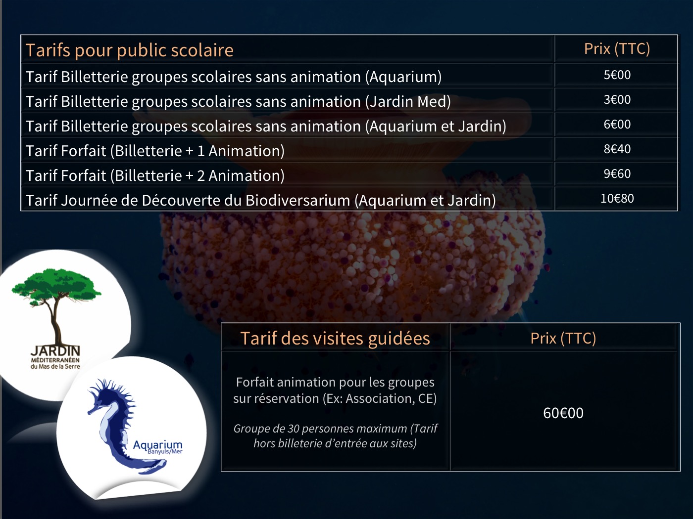 Tarifs Animations 2017